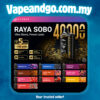 elfbar raya sobo
